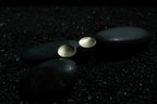 Moonlight 14k Gold Disc Ear Studs