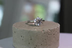 color-white gold