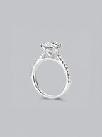color-white gold