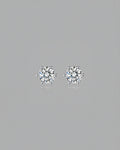 Timeless 6-Prong Solitaire Ear Studs