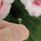 color-white gold