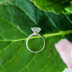 color-white gold