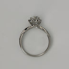color-white gold